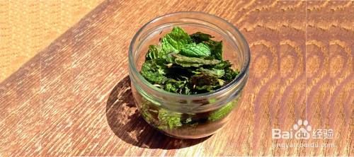 家庭自制薄荷精油