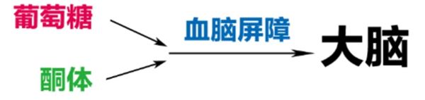 微信圖片_20240927145108.png