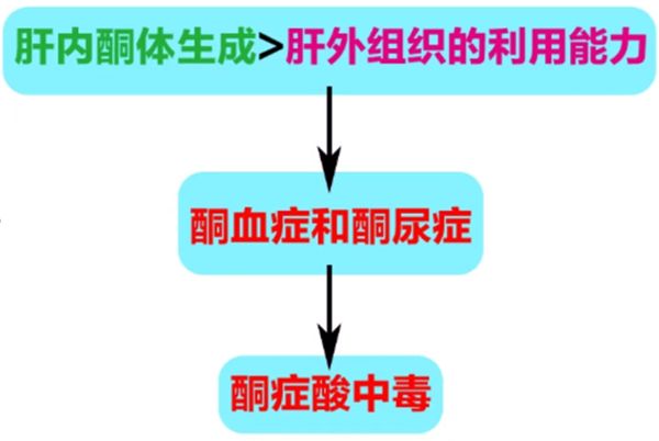 微信圖片_20240927145110.png