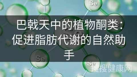 巴戟天中的植物酮類：促進(jìn)脂肪代謝的自然助手