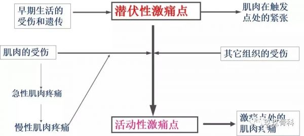 18701662851449446