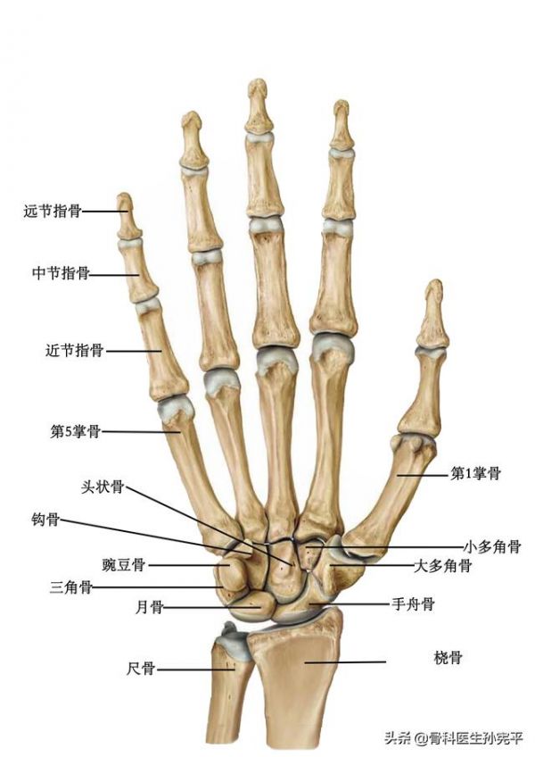 文章圖片1
