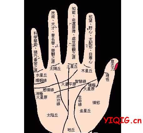 28節(jié)手指代表什么？為什么十指連心？