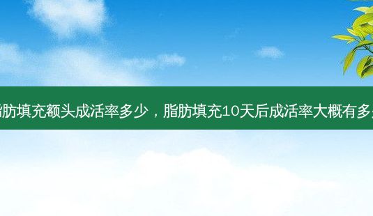 脂肪填充額頭成活率多少，脂肪填充10天后成活率大概有多少-第1張圖片-一諾整形網(wǎng)