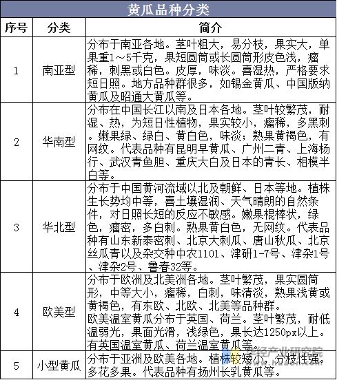黃瓜品種分類