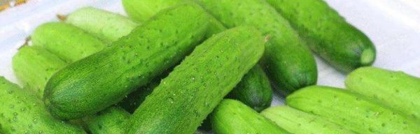 黃瓜到底是碳水化合物嗎？——科學解析