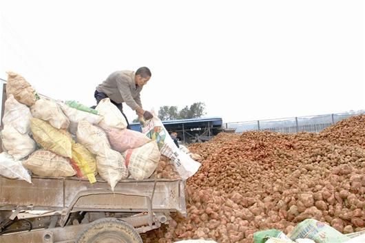 当地农民在销售红薯