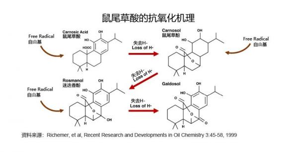天然抗氧化剂