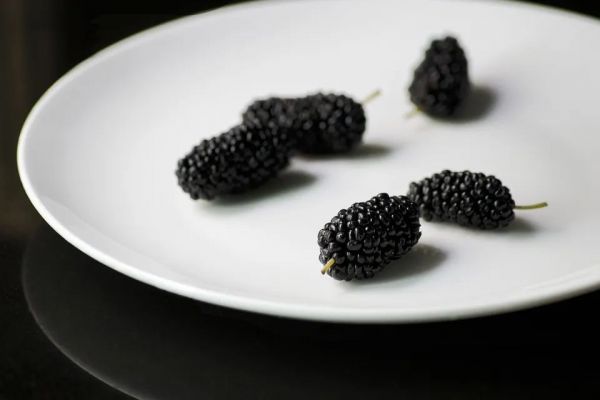 吃出美丽，保持健康好状态——抗糖、抗氧化篇