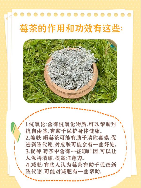 https://selfpage-gips.cdn.bcebos.com/bdfd102ede20b8c1647eba03bff2d14a.jpg