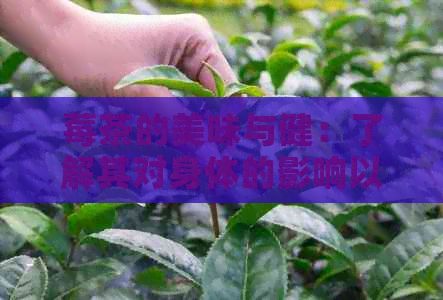莓茶的美味與?。毫私馄鋵ι眢w的影響以及是否容易上癮