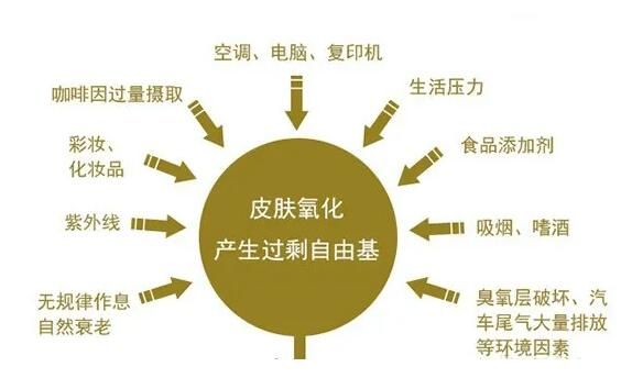 抗氧化是什么意思？全面抗氧化指南