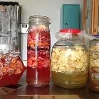 自制减肥酵素，吃货的夏天也不怕的做法图解3