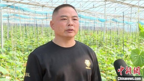 圖為江西撫州市臨川區(qū)寶陽農(nóng)業(yè)專業(yè)合作社負(fù)責(zé)人、鄉(xiāng)賢楊衛(wèi)華接受采訪。章文鋒 攝
