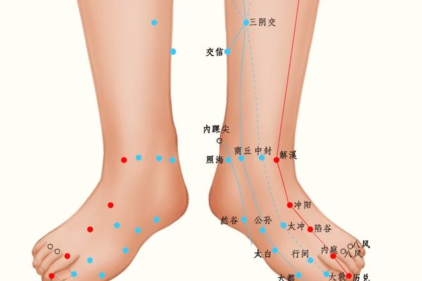 女性按摩哪里可以提高雌激素 雌激素低按摩反射區(qū) 怎樣按摩促進(jìn)雌激素分泌