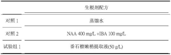 一種番石榴生根劑及番石榴扦插育苗的方法與流程