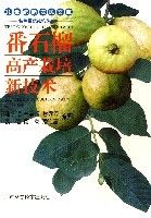 番石榴高產(chǎn)栽培新技術(shù)