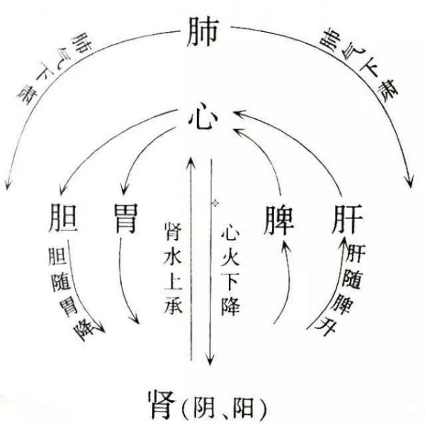 徒手通經(jīng)活絡(luò)祛疼痛三大原則