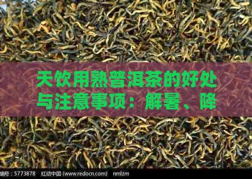 天飲用熟普洱茶的好處與注意事項(xiàng)：解暑、降脂、養(yǎng)生全解析