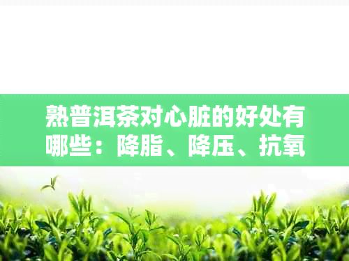 熟普洱茶对心脏的好处有哪些：降脂、降压、抗氧化，预防心脏病。