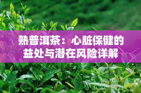 熟普洱茶：心脏保健的益处与潜在风险详解