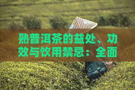 熟普洱茶的益處、功效與飲用禁忌：全面解析如何正確飲用這種茶葉