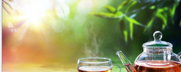 降脂降壓喝什么茶 降壓喝什么茶 降壓茶有哪些