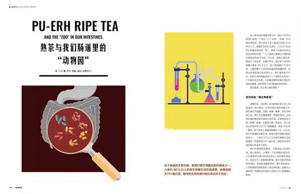 熟茶健康功效研究新进展