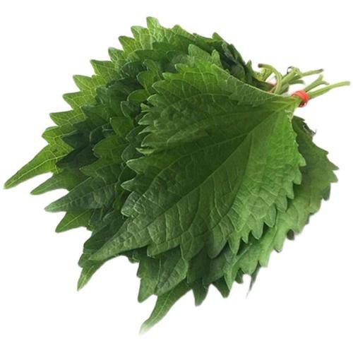 科學搭配 吃海鮮更健康