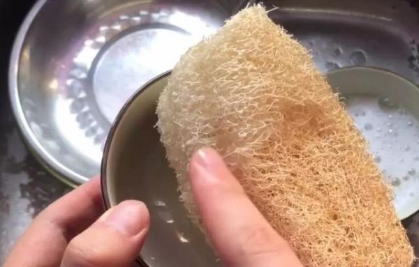 絲瓜是個(gè)寶，一根絲瓜=8味藥！太實(shí)用