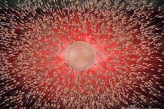 〖美國(guó)做試管嬰兒步驟是什么？每一筆花費(fèi)的用途與含義〗