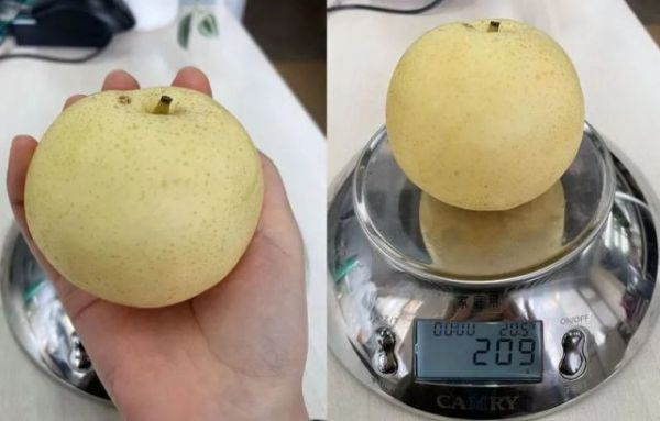 圖片