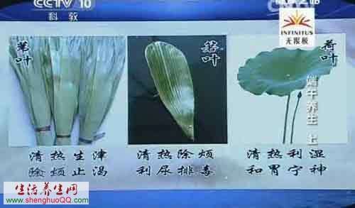 粽葉的類型