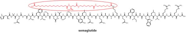 图1. 减肥多肽药物liraglutide和semaglutide化学结构