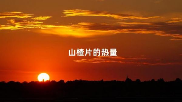 山楂片的熱量
