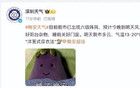 冷冷冷！速凍！深圳又要斷崖式降溫了！