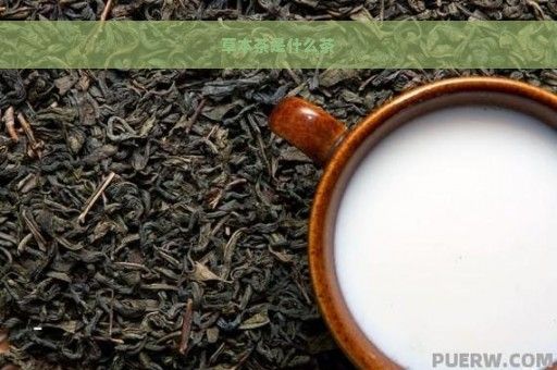 草本茶是什么茶