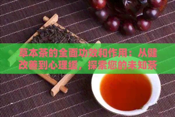 草本茶的全面功效和作用:从健改善到心理缓,探索您的未知茶饮世界