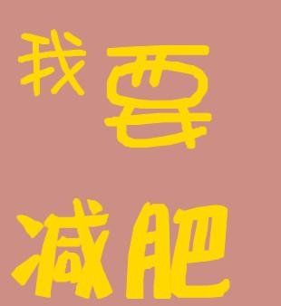 减肥训练营日程