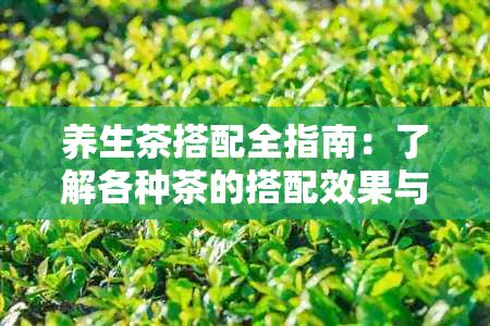 養(yǎng)生茶搭配全指南：了解各種茶的搭配效果與禁忌，讓你喝出健與美味