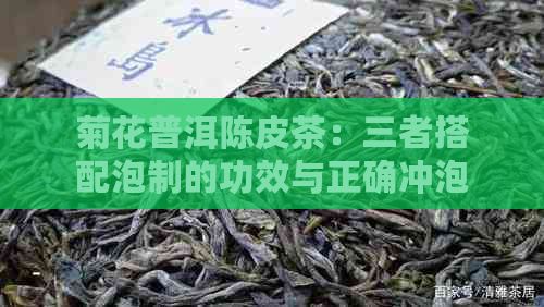菊花普洱陳皮茶：三者搭配泡制的功效與正確沖泡方法全解析