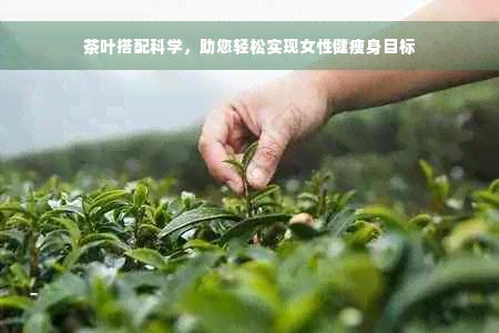 茶葉搭配科學(xué)，助您輕松實(shí)現(xiàn)女性健瘦身目標(biāo)