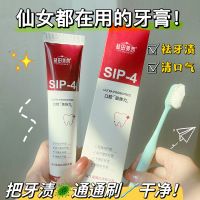 [100g裝]益生菌牙膏鯊魚口腔速效洗成人男女士專用官方正品