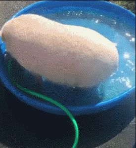 9150e4e5ly1fmiy6qd240g207n08cqv5.gif