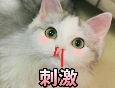 814268e3gy1fjlbhtdsvtj20c809egm2.jpg
