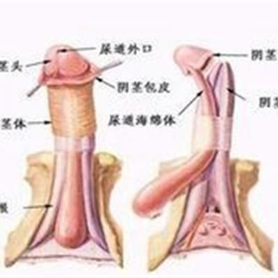 性文化需要到位：如何正確的性愛(ài)