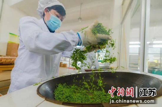 工作人員正在炒茶制茶 滸墅關供圖