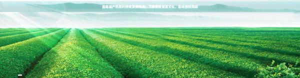 洞庭湖產(chǎn)的茶葉種類及其特點(diǎn)：了解洞庭湖茶文化，品味獨(dú)特風(fēng)味