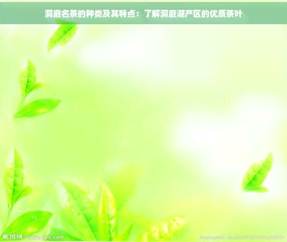 洞庭名茶的種類及其特點：了解洞庭湖產(chǎn)區(qū)的優(yōu)質茶葉