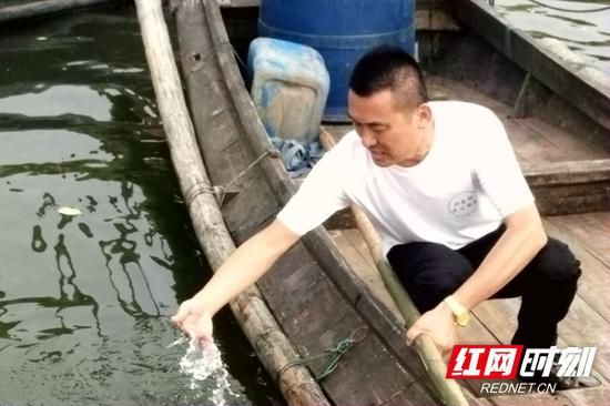 “洞庭湖的水终于又可以喝了。”渔民蔡建新捧起洞庭湖的水喝了几口。